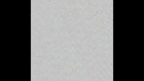 _tammarra_ online show from 01-06-26, 12:31