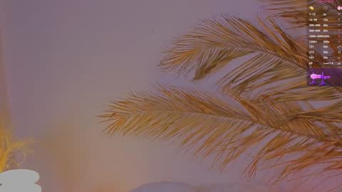 Ally online show from 12-15-24, 04:04