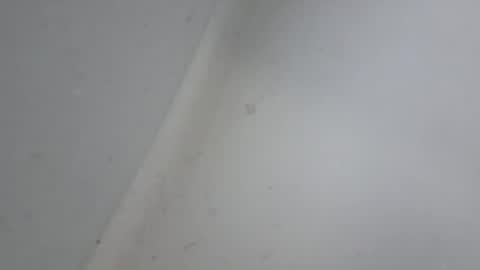 XXL online show from 01-18-26, 10:52