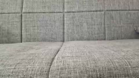 XXL online show from 04-19-26, 03:39