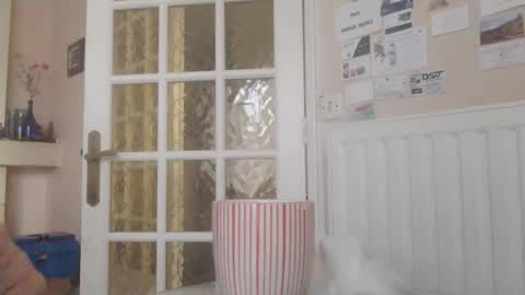 Aalex1717 online show from 01-14-26, 08:53