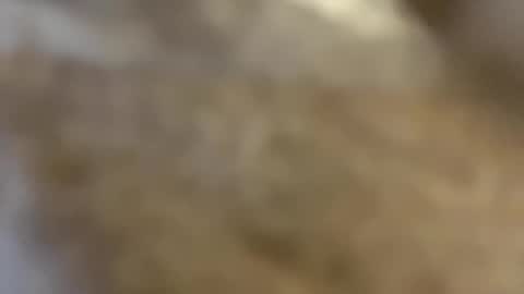 Snapshot of abbyjacksonn_ chatting on 12-03-24, 10:50 ABBY online show from 12-03-24, 10:50