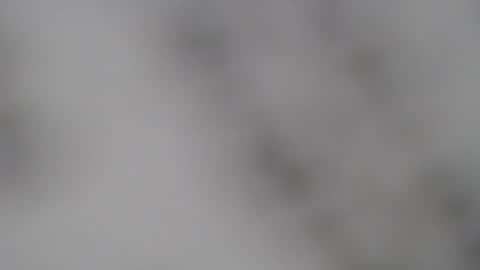 Snapshot of abbyjacksonn_ chatting on 02-05-25, 01:00 ABBY online show from 02-05-25, 01:00
