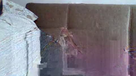 Snapshot of abdil_34 chatting on 02-05-25, 09:18 abdil_34 online show from 02-05-25, 09:18