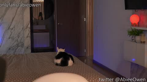 Snapshot of abie_owen chatting on 09-28-25, 09:09 abie_owen online show from 09-28-25, 09:09