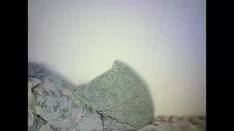 GoldenFish online show from 02-22-25, 11:46