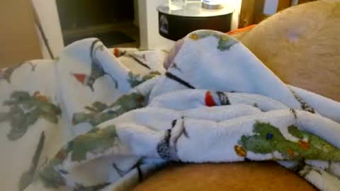 Snapshot of abigspermshooter chatting on 07-01-26, 12:51 abigspermshooter online show from 07-01-26, 12:51