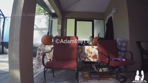 Snapshot of adamevetv chatting on 11-01-25, 08:33 Adam And Eve online show from 11-01-25, 08:33