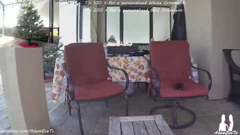 Snapshot of adamevetv chatting on 12-14-25, 04:23 Adam And Eve online show from 12-14-25, 04:23