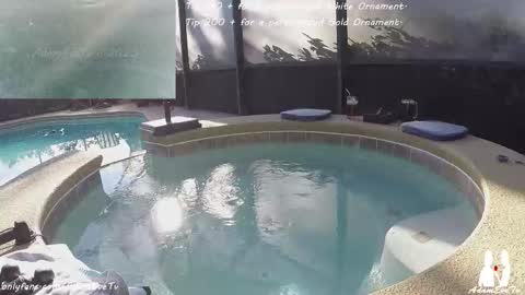 Snapshot of adamevetv chatting on 12-20-25, 07:54 Adam And Eve online show from 12-20-25, 07:54