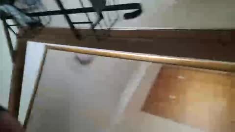 adamlucas54321s773712 online show from 10-08-25, 01:36