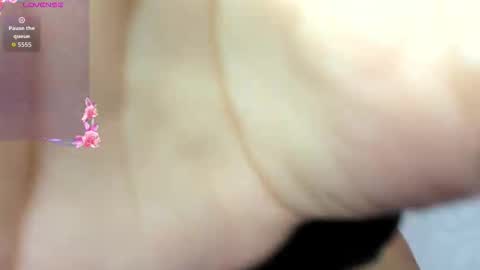 Snapshot of adams_niki chatting on 11-03-25, 12:39 ADAMS Y NIKI online show from 11-03-25, 12:39