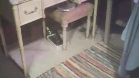 Snapshot of adamsny chatting on 04-21-26, 04:41 adamsny online show from 04-21-26, 04:41