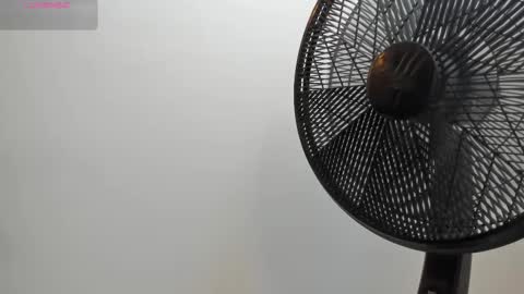 adbel sady online show from 10-28-25, 11:14