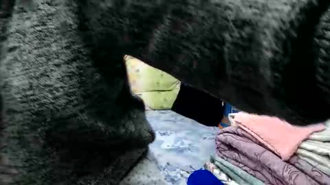 Larisa online show from 11-15-25, 11:29