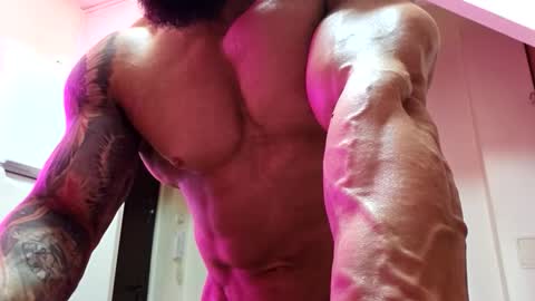 Snapshot of adonis_msc chatting on 03-28-26, 08:52 Adonis online show from 03-28-26, 08:52