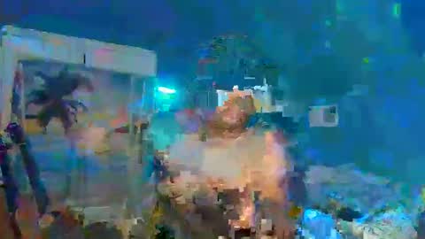 Adonis XDDDDDDDD Woody online show from 12-31-24, 12:32