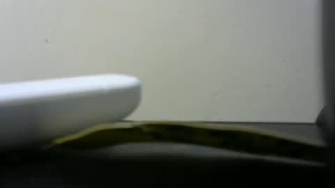 Snapshot of africanlovei chatting on 01-02-25, 06:01 africanlovei online show from 01-02-25, 06:01