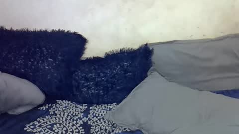 afrii_kity online show from 04-17-26, 03:42