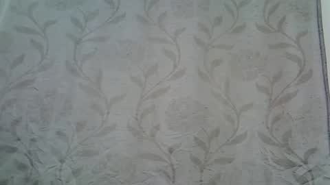 pink  and josphen online show from 01-23-25, 05:13