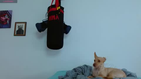 Snapshot of agness_6 chatting on 10-20-25, 06:08 Agness online show from 10-20-25, 06:08