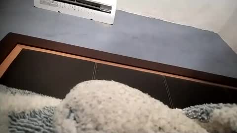 airoon91 online show from 11-16-25, 05:24