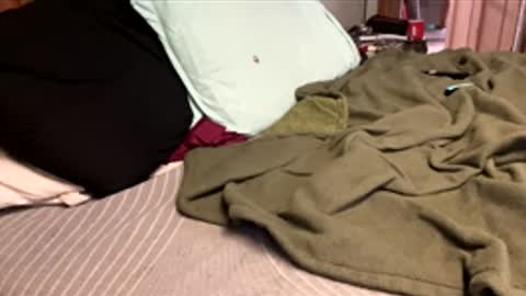 ajb5187517 online show from 01-05-26, 05:49