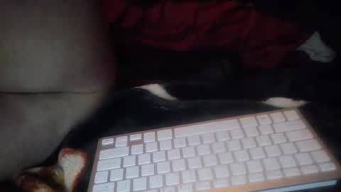 Snapshot of aken4it chatting on 10-17-25, 07:27 aken4it online show from 10-17-25, 07:27