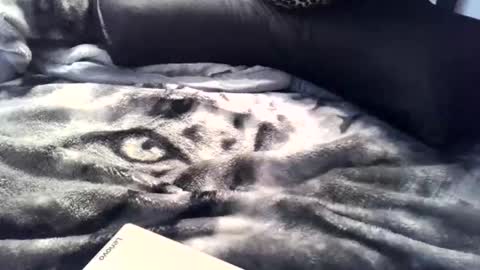 aken4it online show from 04-02-26, 11:35