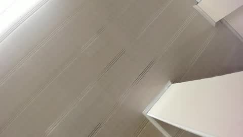 Maeve  online show from 01-07-25, 10:54