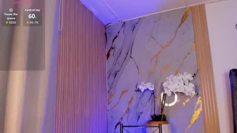   Schedule 700a.m - 200p.m Col hour online show from 11-12-25, 12:27