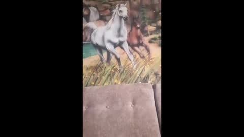 Snapshot of albina6543 chatting on 02-13-26, 09:49 albina online show from 02-13-26, 09:49