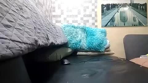 haden online show from 04-01-26, 02:23