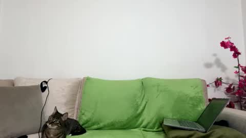 alejo__twinkboy online show from 01-30-25, 08:11