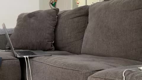 Alex online show from 11-03-25, 06:53