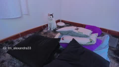 alexa_will online show from 03-31-26, 02:13