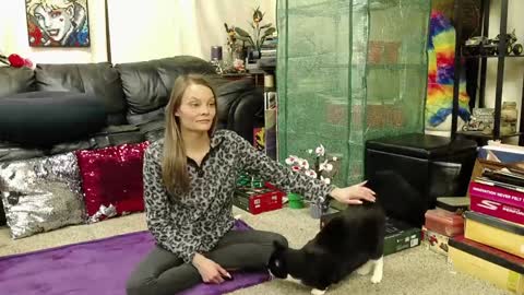 Snapshot of alexagwonderland chatting on 01-21-25, 04:43 Alexa GW online show from 01-21-25, 04:43