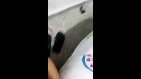 Snapshot of alexamdergal chatting on 01-09-25, 10:31 Alexamdergal online show from 01-09-25, 10:31