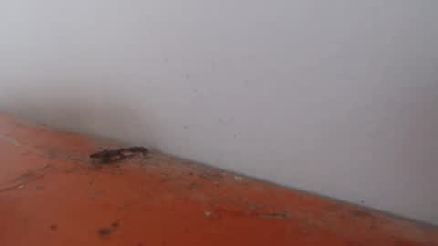 Snapshot of alexamdergal chatting on 11-24-25, 12:21 Alexamdergal online show from 11-24-25, 12:21