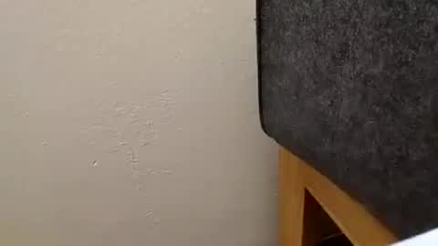 Snapshot of alexanderhub01 chatting on 10-04-25, 01:53 alexanderhub01 online show from 10-04-25, 01:53