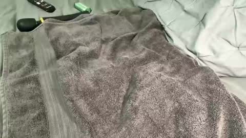 Snapshot of alexis_696969 chatting on 12-13-24, 11:34 Alexis online show from 12-13-24, 11:34