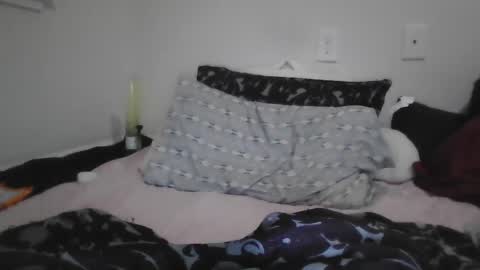 Snapshot of alexvines chatting on 12-27-24, 09:54 Alex Vines online show from 12-27-24, 09:54