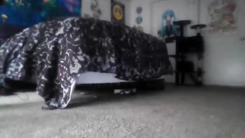 Alex Vines online show from 03-14-26, 03:50