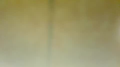 Snapshot of alfonsogomez110 chatting on 01-22-25, 05:28 Alfonso Gomez online show from 01-22-25, 05:28