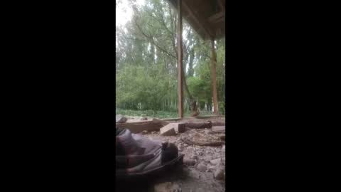 ali266113 online show from 04-23-26, 06:25