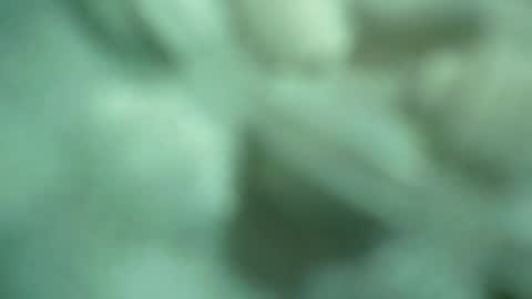 ali_asianguyuk online show from 12-01-25, 01:32