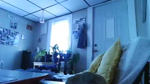 ali_tayler online show from 11-08-25, 01:44