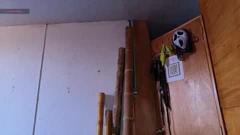 alice_randyy online show from 02-12-26, 01:17