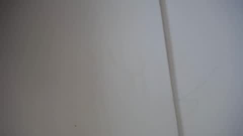 Ali online show from 02-17-25, 12:05