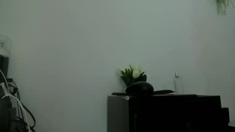Snapshot of alika01_ chatting on 09-13-25, 02:50 alika online show from 09-13-25, 02:50